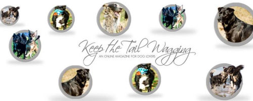 keepthetailwagging-fbfanpage-image