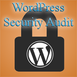 wordpress-security-audit-thumbnail