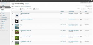 wordpress37-backend-medialibrary-screenshot