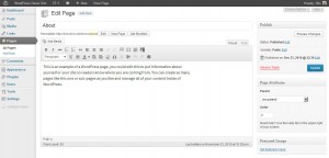 wordpress37-backend-page-screenshot