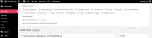 wordpress-screen-options-tab-screenshot-2