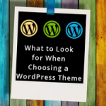 what to look for when choosing a WordPress theme